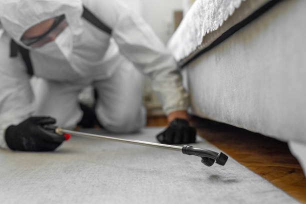 Professional Termite Control technician working in Moody, AL