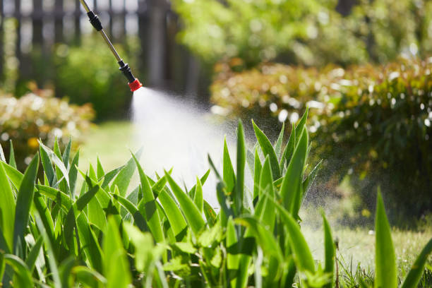 24/7 Emergency Termite Control experts in Moody, AL